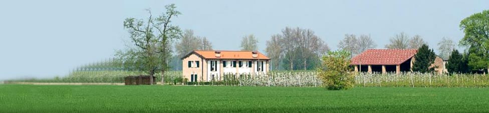Farmhouse Italy Ferrara - Holiday villas